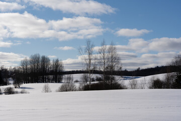 White snowy Latvian landscape in winter where you can see a large field