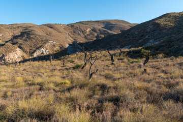 Mountainous landscape of La Alpujarra in southern Spain