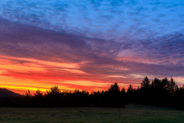 Vibrant sunset of meadow and forest at Sam McDonald Country Park. La Honda, San Mateo County,...