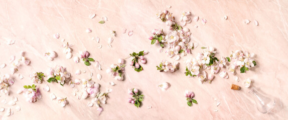 Flat lay of spring apple blooming flowers and petals from empty glass bottle over pink marble background. Perfume floral scent concept. Copy space