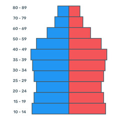 
A flat trendy icon of population pyramid diagram
