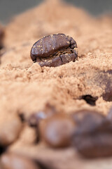 chocolate bar with cocoa powder