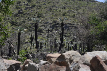 Un viaje por la hermosa provincia de Córdoba, Argentina