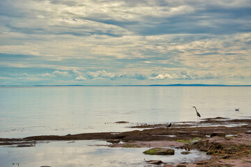 Canada, Prince Edward Island coastline