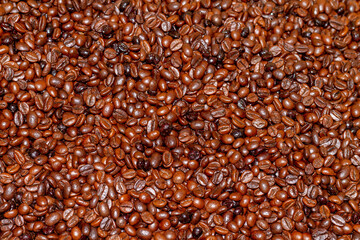 Coffee beans of the Robusta variety of natural roast and 