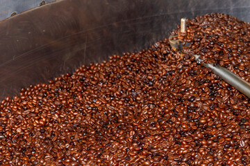 Coffee beans of the Robusta variety of natural roast and "Torrefacto" roast, are mixed to be packaged in a coffee roasting company.