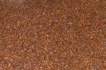 Roasted coffee beans of the Robusta variety that can be used as a wallpaper or texture for publications.