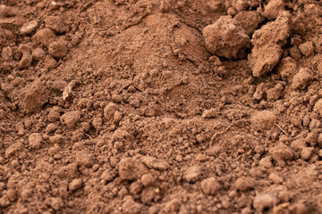 Brown ground close up, background or texture