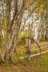 Canada, Prince Edward Island, Orwell. Wagon wheel and birch trees.