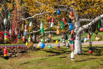 Canada, Prince Edward Island, Point Prim. Tree decorated with lobster buoys in autumn.