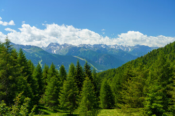 Obraz premium Mountain landscape at summer along the road from Mortirolo pass to Aprica