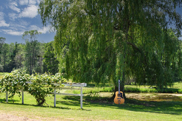 Fototapeta na wymiar 12 string guitar in a countryside environment