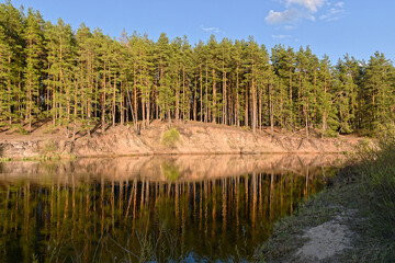 Obraz premium Spring on the forest river.