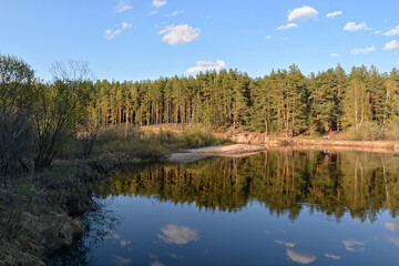 Fototapeta na wymiar Spring on the forest river.