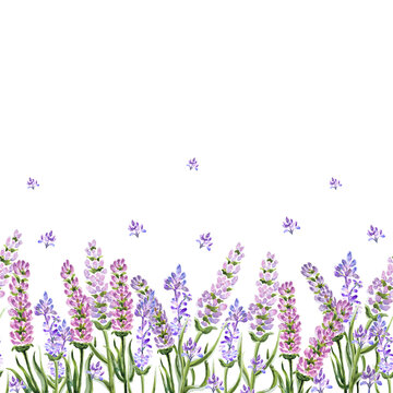 Lavender pattern border white watercolor