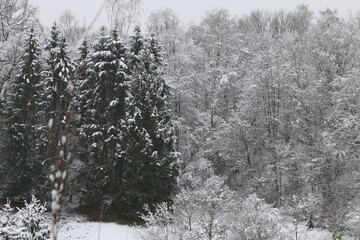Winter