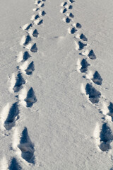 footprints and dents in the snow