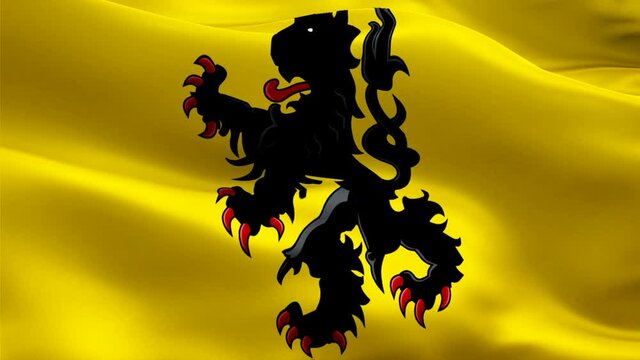 Flemish region flag in Belgium. Belgium Flemish Dutch Community flag waving. Flanders Belgian and Brussels Antwerp represent Vlaams Belang and Vlaanderen party. Flanders flag Closeup 1080p Full HD vid