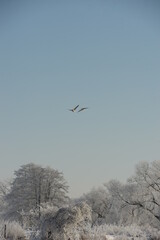 Winterwonderland. Bezaubernde Flußauen und Ufer im Winter