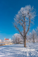 Amazing view over Magdeburg historical downtown in Winter with icy trees and snow during sunrise in the morning with warm illumination, foggy river and blue sky, Germany.