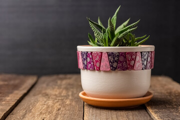 houseplant in a clay pot on a wooden table. Copy space for text
