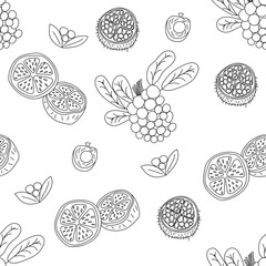 Tropical fruits line seamless pattern. Black and white botanical background. Vector illustration summer monoline