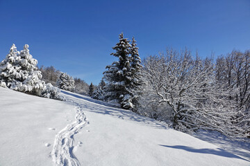 Randonnée raquettes dans le Vercors le jour de la Saint-Valentin 2021