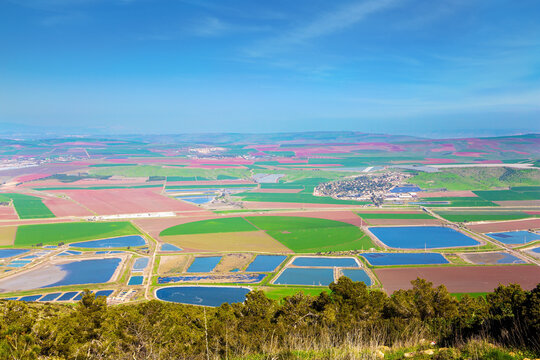 Picturesque fields