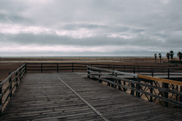 pier on the beach