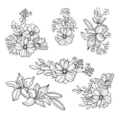 Garden flowers.Vector  illustration.