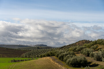 Stock photo of beautiful landscape and rural village in the south of Spain. Aguilar de la Frontera, Cordoba, Spain.