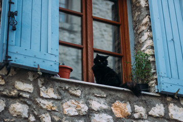 old window with cat
