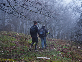 two unrecognizable mans hiking in the forest of urbasa