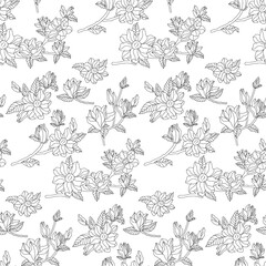 leaves and flowers of magnolia. Seamless background. Hand drawn pictures of nature. Freehand drawing
