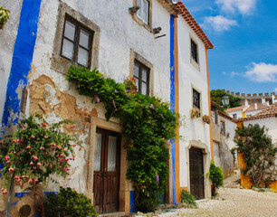 Fototapeta na wymiar Lugares en el pueblo de Obidos, Portugal.