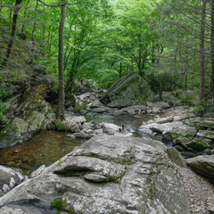 Fototapeta na wymiar Rocky stream in the forest