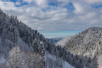 Fototapeta na wymiar Beautiful snow landscape of snowy trees and ski slope of Roza Khutor ski resort. South part of mountains. Sochi, Russia.