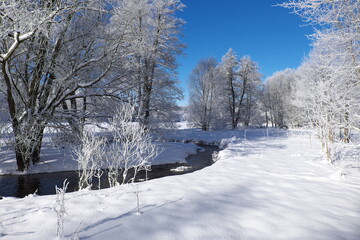Dunkler Bach fließt über weiß verschneites Feld mit winterlichen Bäumen am Rand