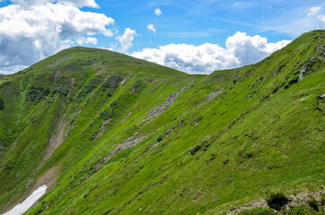 Fototapeta na wymiar Green mountain landscape with highest ridge of Ukrainian Carpathians, Chornohora at sunny summer day