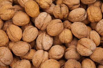 walnut