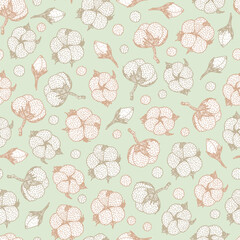 Hand drawn floral background with cotton plants. Seamless vector pattern.

