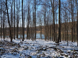 Saufangweiher in Bildstock im Saarland