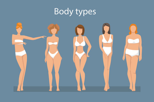 Women in lingerie showing different body shapes. Female body types: apple, pear, triangle, rectangle, sand molds. Vector illustration.