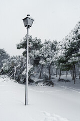 Frozen streetlight in an snowy landscape