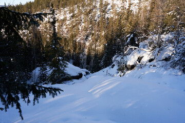 Winter landscape. Sun, snow and clear cold weather.