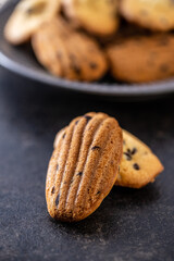 Madeleine with chocolate. Traditional French small cakes.