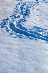 footprints and dents in the snow