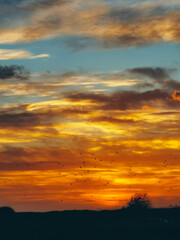 Fototapeta premium Sunset sky