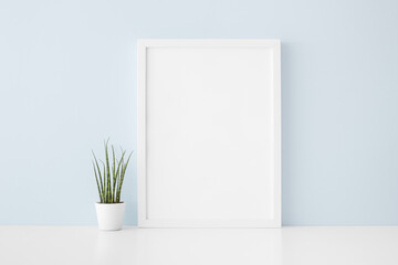 Frame mock up and succulent plant against bright blue wall.	
