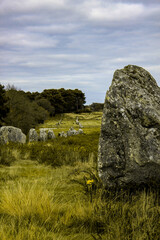 Les alignements de menhirs de Carnac en Bretagne